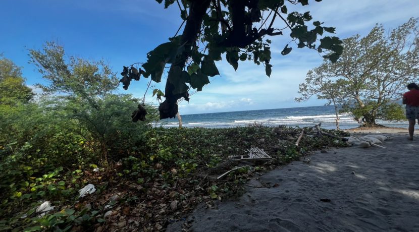 WhatsApp Image 2026-02-18 at 9.49.35 AM