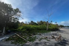 WhatsApp Image 2026-02-18 at 9.49.36 AM (1)