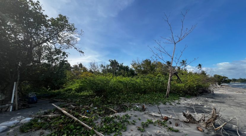 WhatsApp Image 2026-02-18 at 9.49.36 AM (1)