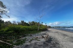 WhatsApp Image 2026-02-18 at 9.49.36 AM (2)