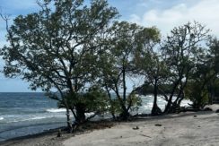 WhatsApp Image 2026-02-18 at 9.49.36 AM (3)