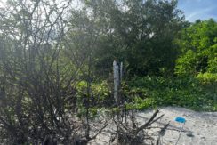 WhatsApp Image 2026-02-18 at 9.49.36 AM (4)