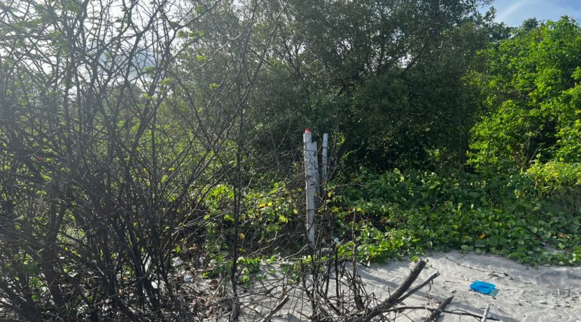 WhatsApp Image 2026-02-18 at 9.49.36 AM (4)