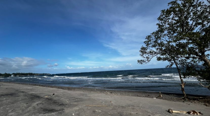 WhatsApp Image 2026-02-18 at 9.49.36 AM