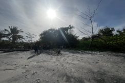 WhatsApp Image 2026-02-18 at 9.49.37 AM (2)