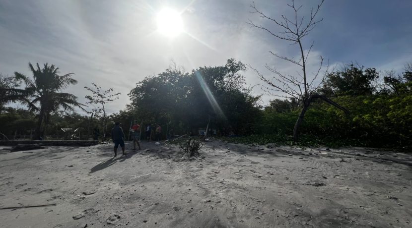 WhatsApp Image 2026-02-18 at 9.49.37 AM (2)