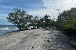 WhatsApp Image 2026-02-18 at 9.49.37 AM