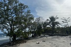 WhatsApp Image 2026-02-18 at 9.49.37 AM (3)