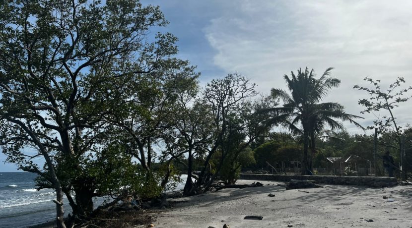 WhatsApp Image 2026-02-18 at 9.49.37 AM (3)