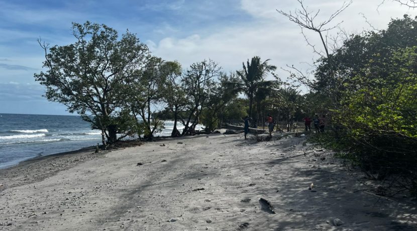 WhatsApp Image 2026-02-18 at 9.49.37 AM