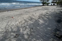 WhatsApp Image 2026-02-18 at 9.49.38 AM (1)