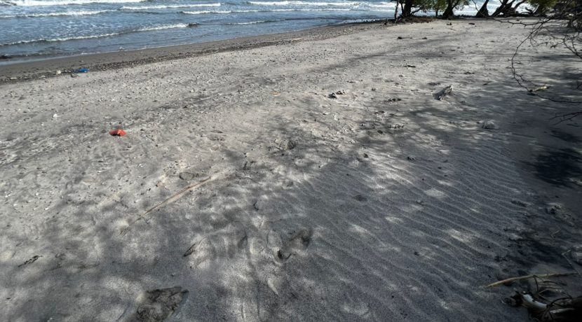 WhatsApp Image 2026-02-18 at 9.49.38 AM (1)