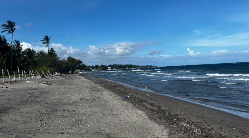 WhatsApp Image 2026-02-18 at 9.49.38 AM (2)