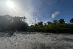 WhatsApp Image 2026-02-18 at 9.49.38 AM