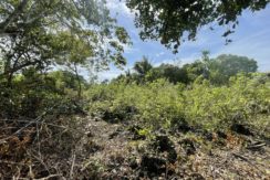 20ded5b2-5452-4429-9702-43f86e40350d