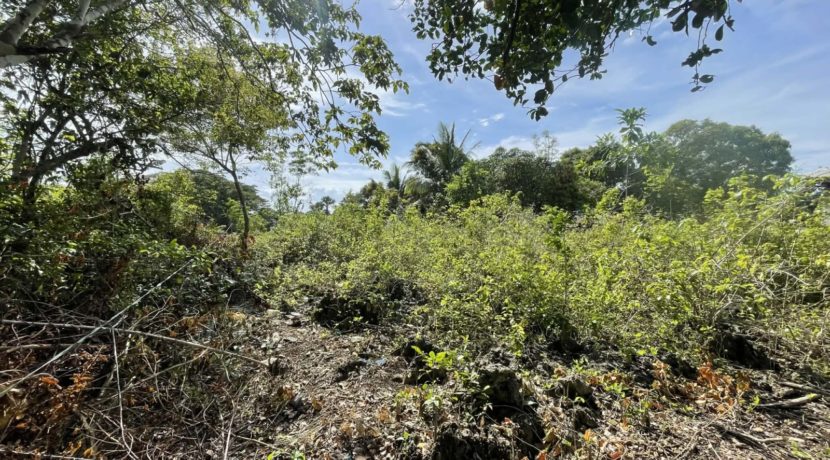 20ded5b2-5452-4429-9702-43f86e40350d