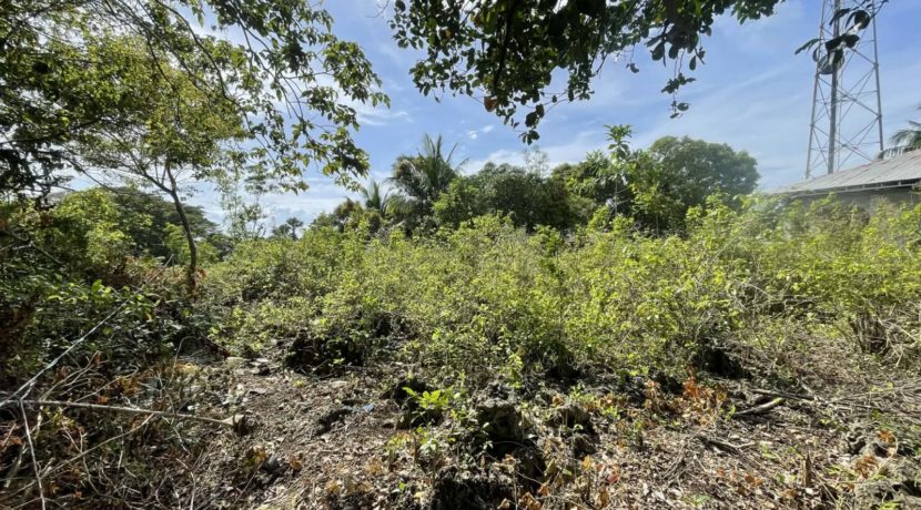 328be8be-fc19-49a0-bef0-1d414a746d65