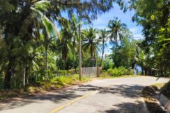 462568456_1794674234625543_1456293093400398845_n