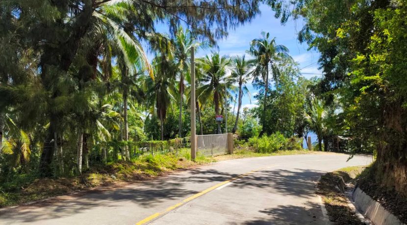 462568456_1794674234625543_1456293093400398845_n