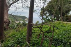 475969487_1728474287749194_1558209517914442691_n