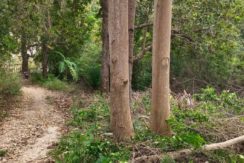 482376893_618059594356979_2914490225382579119_n