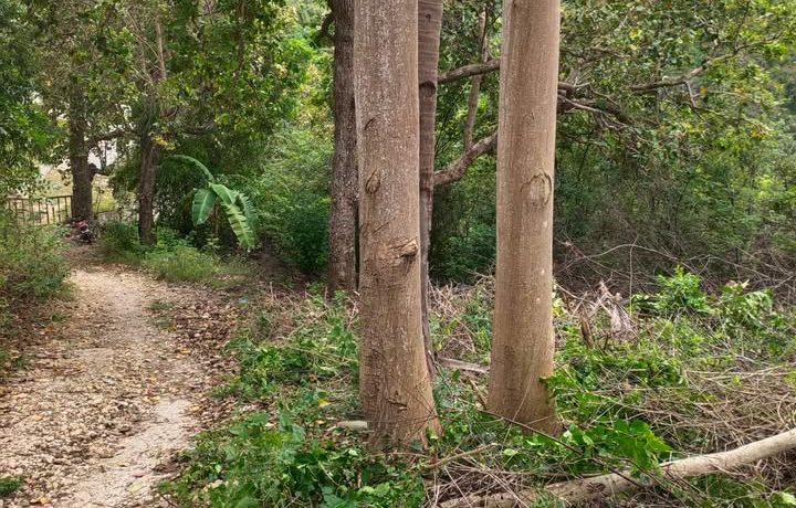 482376893_618059594356979_2914490225382579119_n