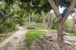 482579962_2216046132169765_5105925946312093286_n