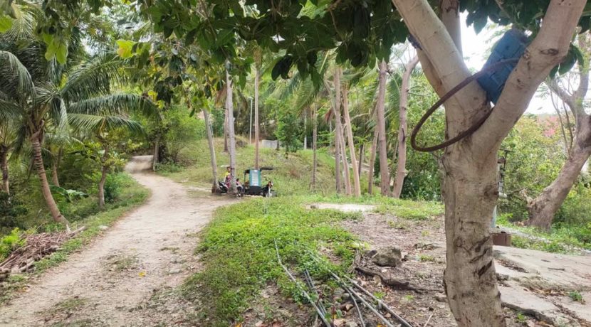 482579962_2216046132169765_5105925946312093286_n