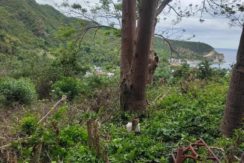 483165946_626529073419430_2219146513384632218_n