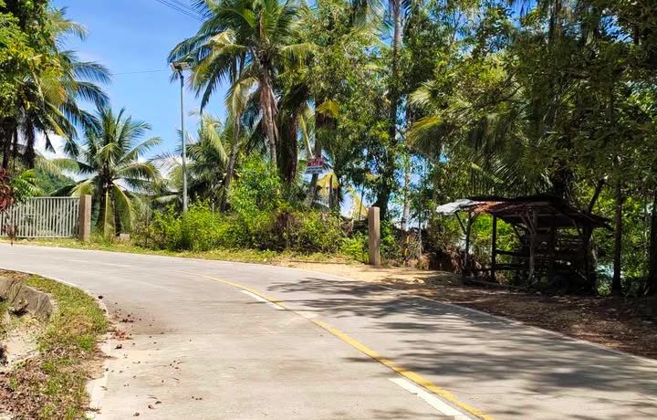 487603457_666564369097291_4133114150423193572_n