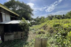 503694b9-0776-4620-95eb-5480d87826e4