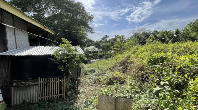 503694b9-0776-4620-95eb-5480d87826e4