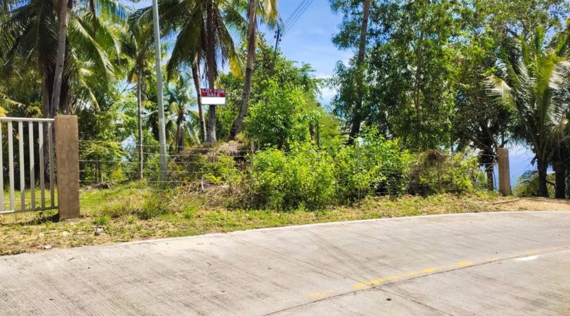 594358089_1128141932507914_6193555655326939526_n