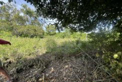 8a7c445e-5773-468d-b8a2-bee15044f37a