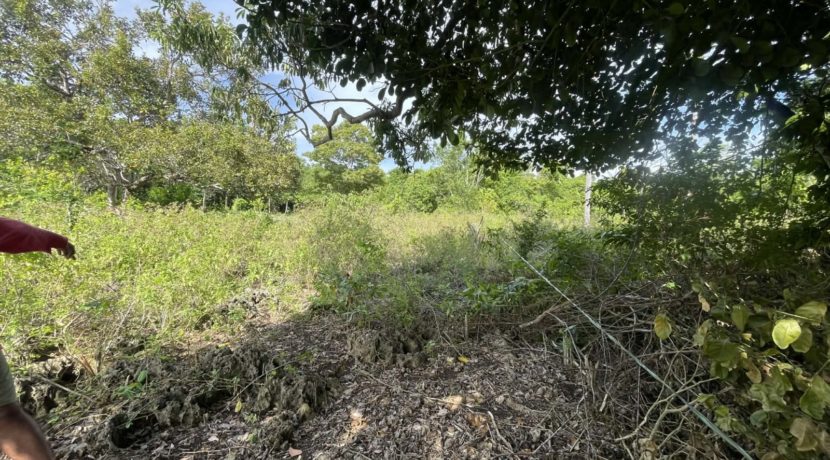 8a7c445e-5773-468d-b8a2-bee15044f37a