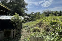 8f5976ab-8dc7-4a29-bc76-d88485825579