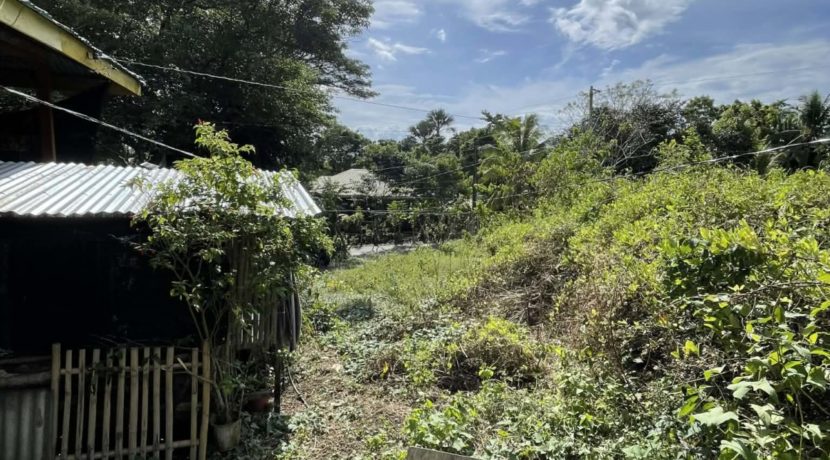 8f5976ab-8dc7-4a29-bc76-d88485825579