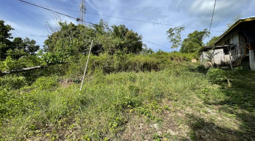 91aae672-ee39-4d33-8ecd-02f1f32db79d