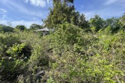 9869e693-1517-4d86-b20b-41e1cdd36de3