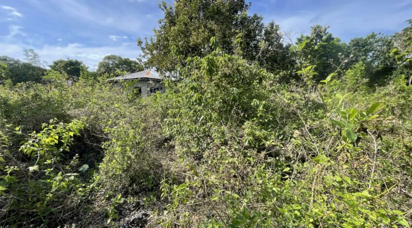 9869e693-1517-4d86-b20b-41e1cdd36de3