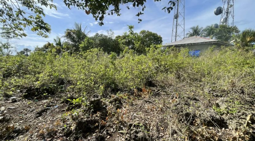 9e3a20f5-c0ed-4c7b-b041-1fa029289ccc