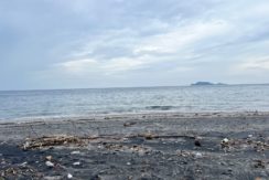 WhatsApp Image 2026-01-19 at 2.23.27 PM