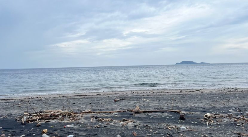 WhatsApp Image 2026-01-19 at 2.23.27 PM