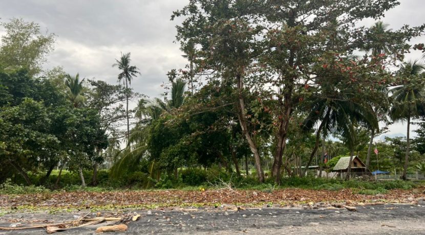 WhatsApp Image 2026-01-19 at 2.23.29 PM