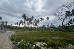 WhatsApp Image 2026-01-19 at 2.23.32 PM