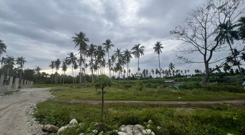 WhatsApp Image 2026-01-19 at 2.23.32 PM