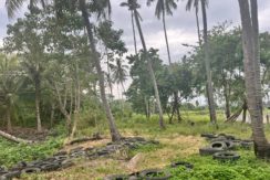 WhatsApp Image 2026-01-19 at 2.23.33 PM