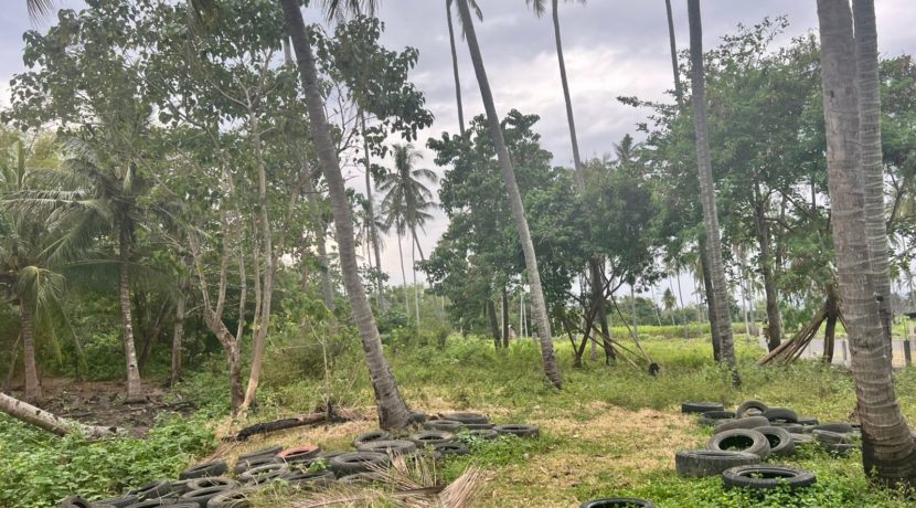 WhatsApp Image 2026-01-19 at 2.23.33 PM