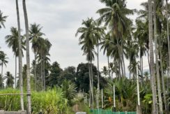 WhatsApp Image 2026-01-19 at 2.23.34 PM