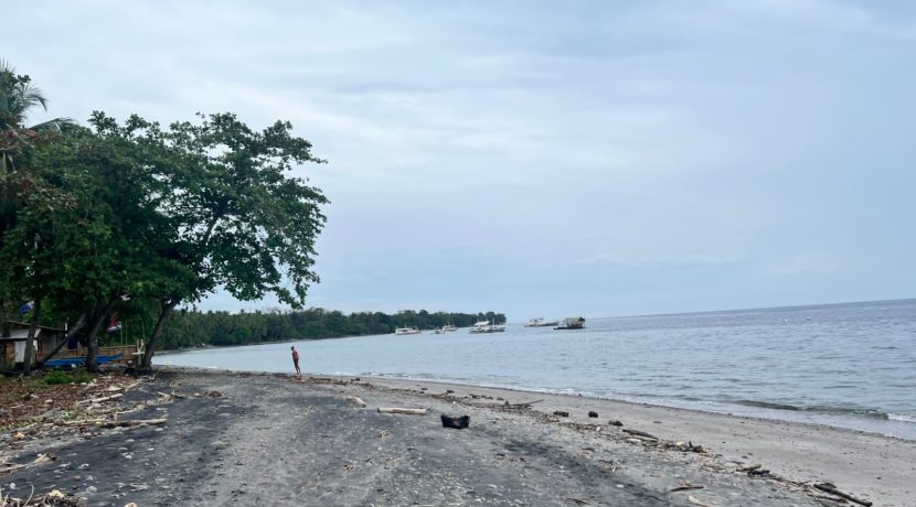 WhatsApp Image 2026-01-19 at 2.28.10 PM